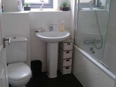 Picture 5